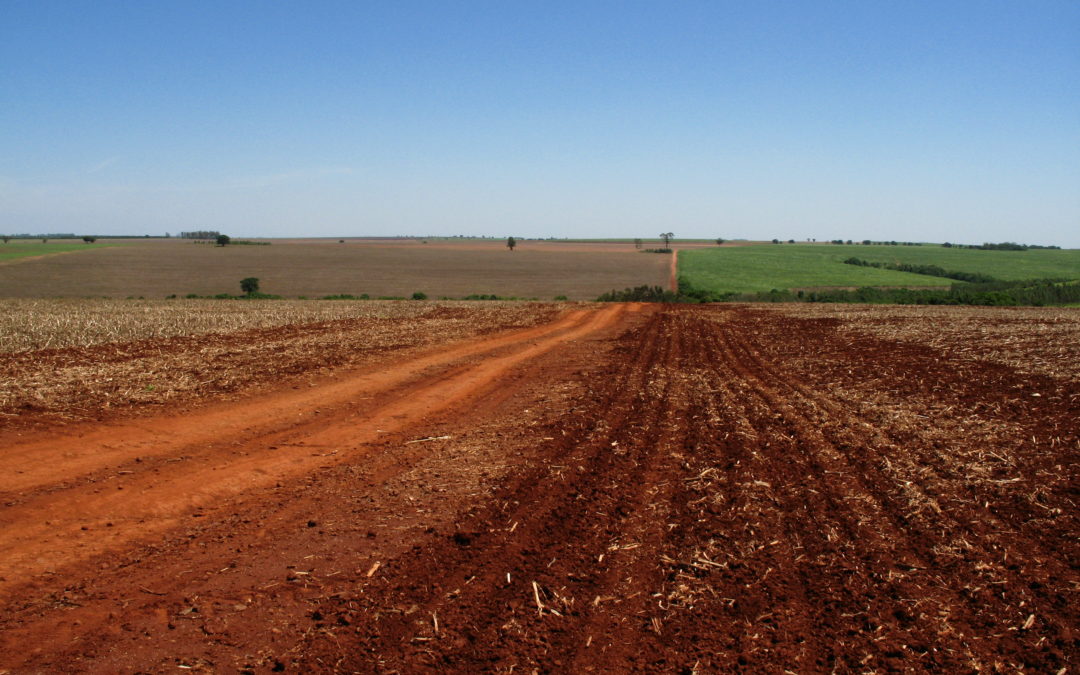 Trajetórias dos solos à paisagem