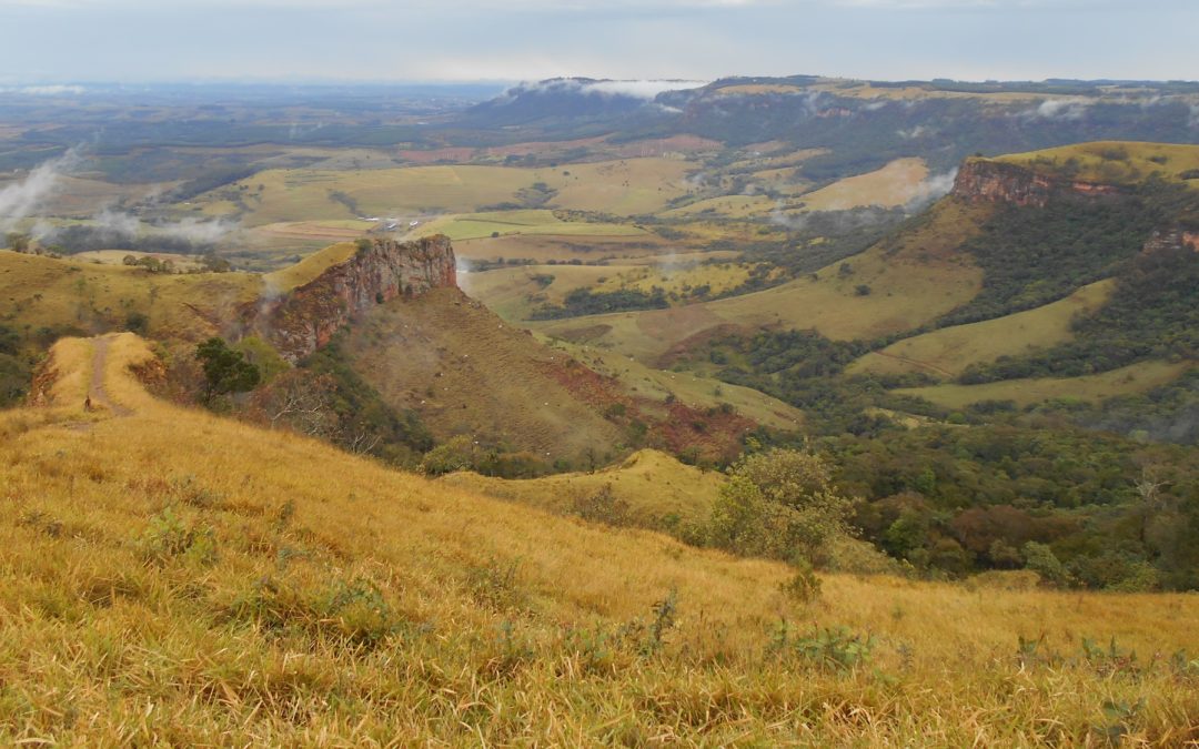 Desvendando o tempo e a paisagem através dos solos