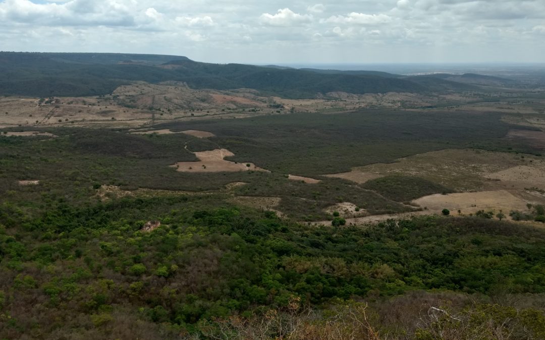 Generalidades e particularidades dos solos e das paisagens do Semiárido