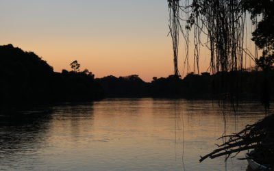 Entre a Amazônia e os solos antrópicos: a paisagem tropical em pauta