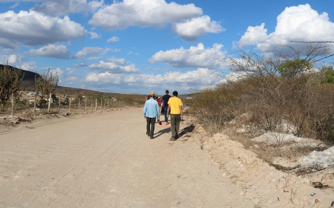 Cronograma das apresentações restantes do projeto TRAJETÓRIAS DOS SOLOS À PAISAGEM