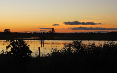 Solos e paisagem do Pantanal