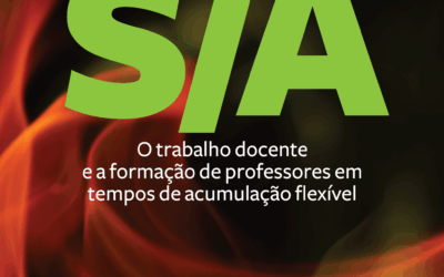 Formação de professores e PIBID em tempos de precarização: reflexões críticas e caminhos possíveis