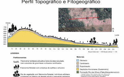 O solo como guardião da paisagem: o enigma das formações campestre no bioma Mata Atlântica