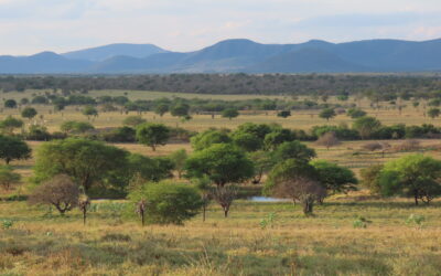 Seleção POSGEO/UFBA 2026.1: vagas do COLAPSO em Estudos Ambientais — pesquisa na bacia do rio Paraguaçu (BA)