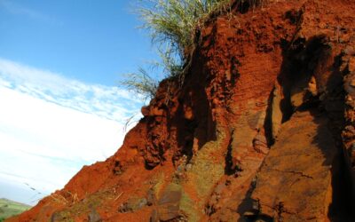 Perfil de solo: uma janela para entender a gênese, a degradação e a memória das paisagens